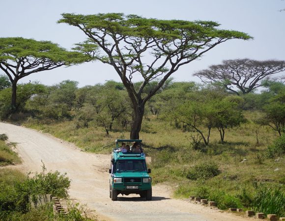 What is the best time for safari in Tanzania?