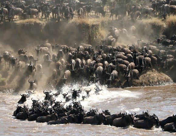 What is the best time for Serengeti Migration?