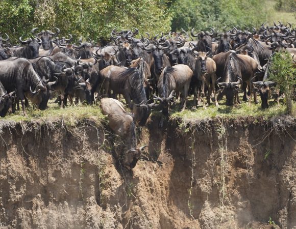 7 Days Serengeti Migration Safari