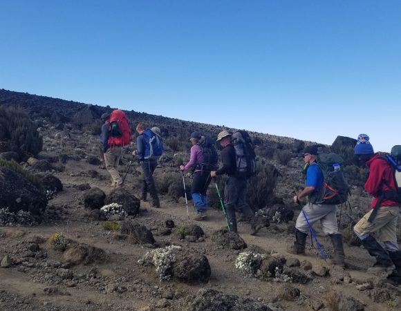 7 Days Machame Route